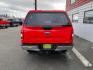 2019 RED /Gray FORD F-150 XLt (1FTEW1E40KK) with an 3.5L engine, Automatic transmission, located at 1960 Industrial Drive, Wasilla, 99654, (907) 274-2277, 61.573475, -149.400146 - Photo#3